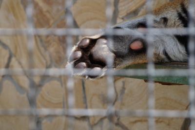 Прикрепленное изображение: A58-2 DSC00361.JPG